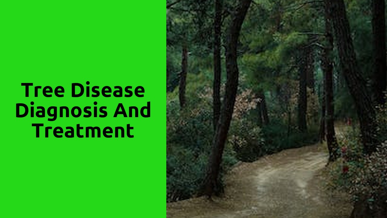 Tree Disease Diagnosis and Treatment